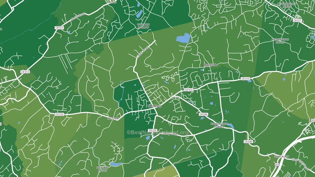 Mendham, NJ block-group voter-turnout map