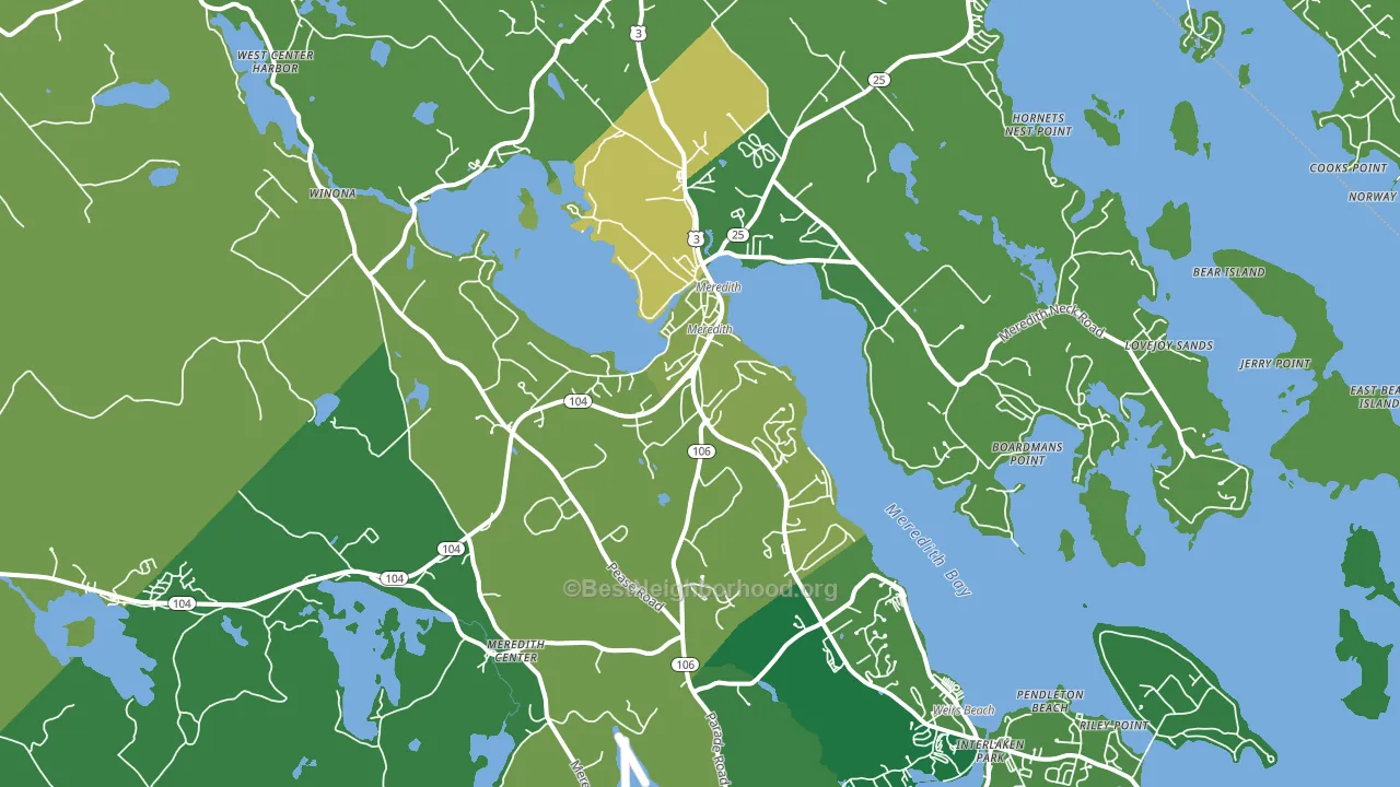 Meredith, NH block-group voter-turnout map
