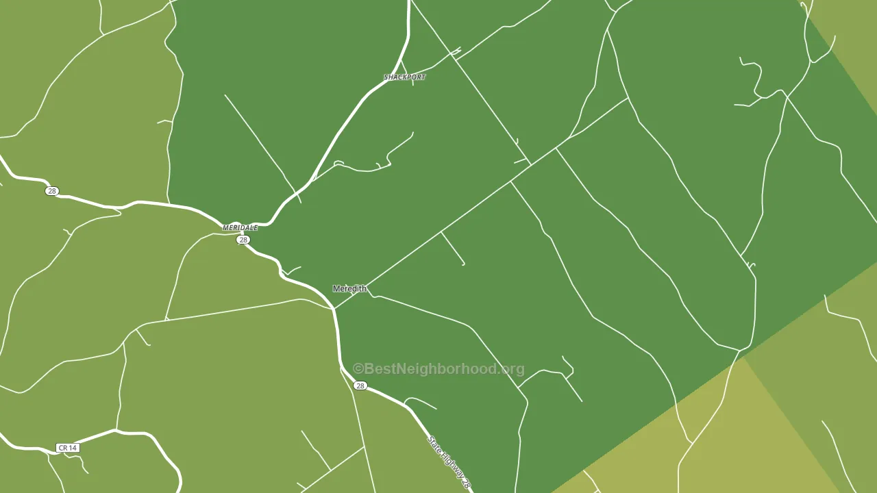 Meredith, NY block-group voter-turnout map