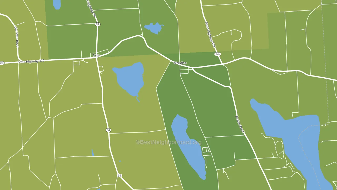 Meridian, NY block-group voter-turnout map