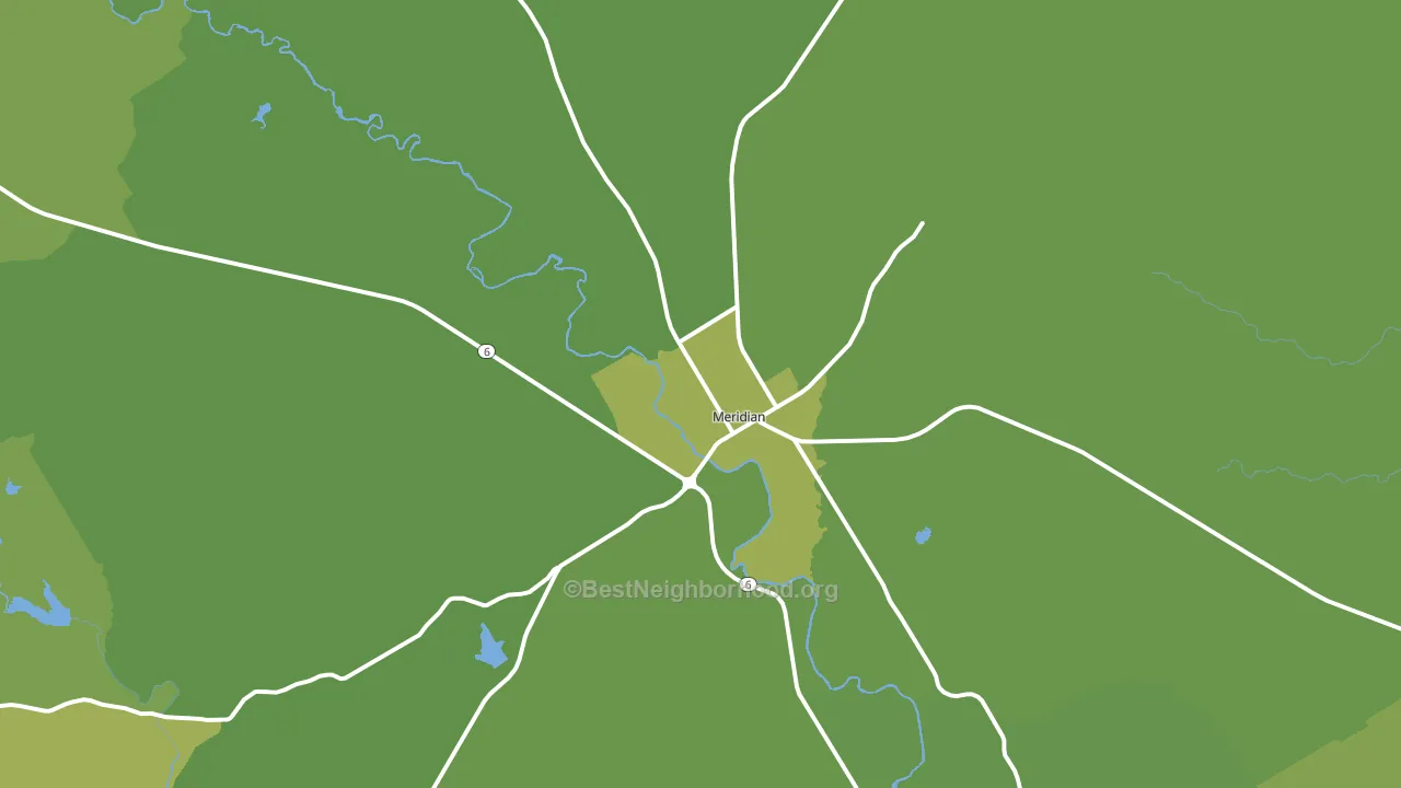 Meridian, TX block-group voter-turnout map