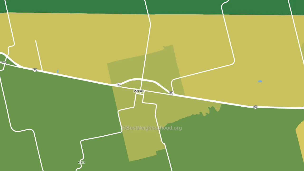 Merkel, TX block-group voter-turnout map