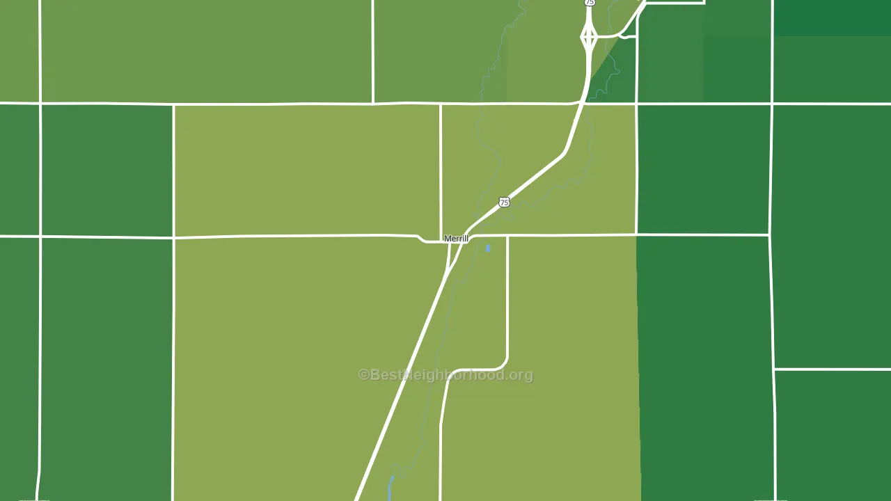 Merrill, IA block-group voter-turnout map