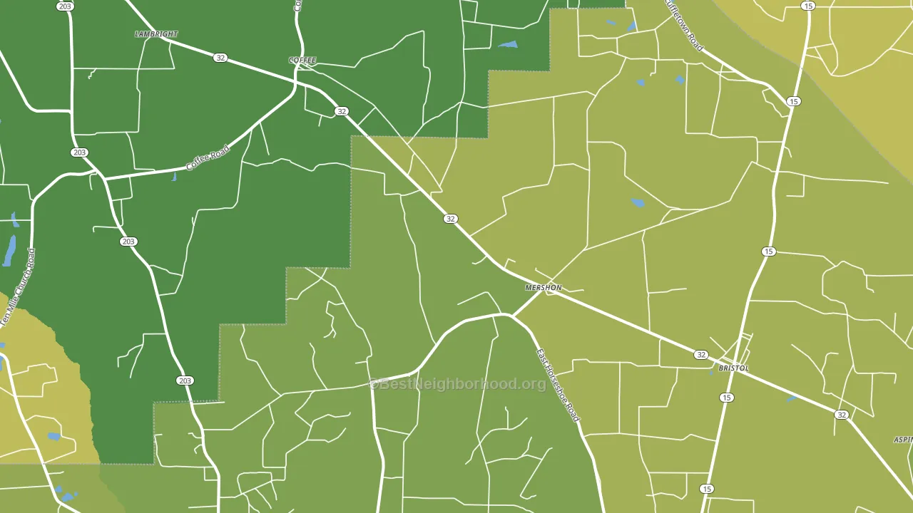 Mershon, GA block-group voter-turnout map