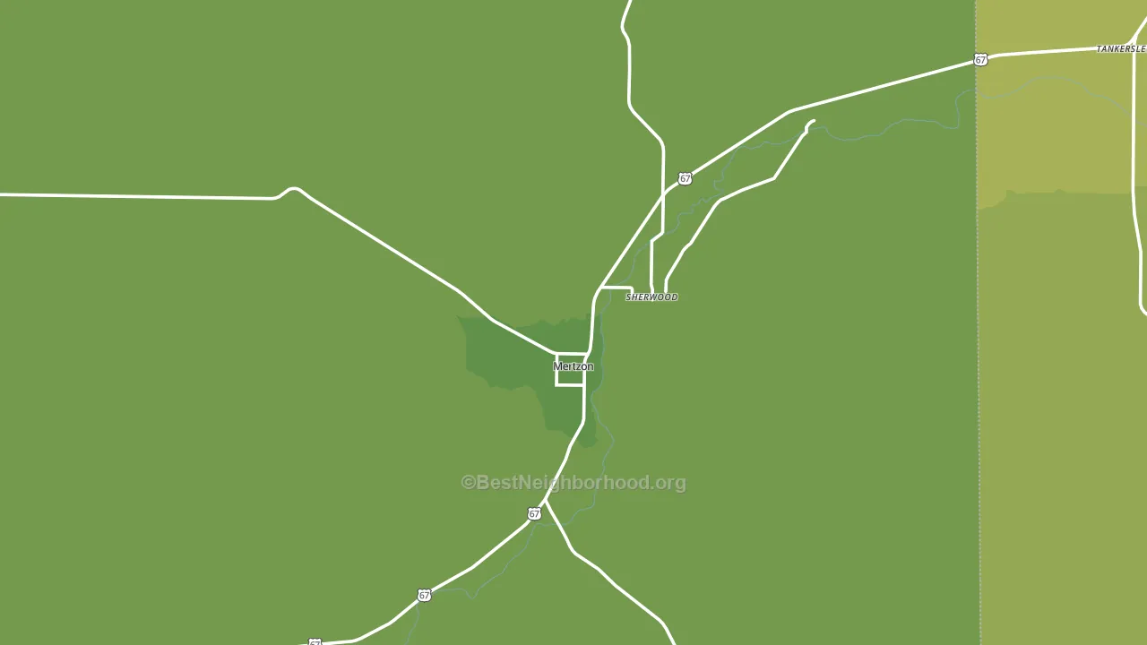 Mertzon, TX block-group voter-turnout map
