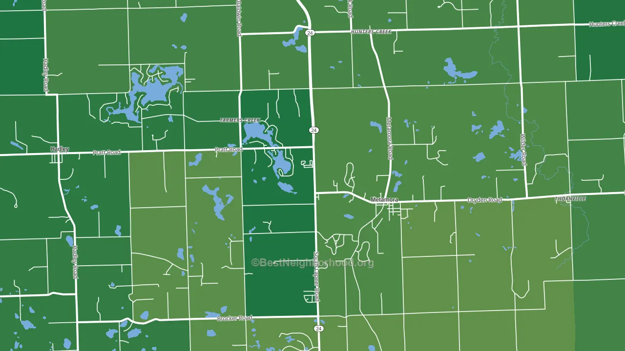 Metamora, MI block-group voter-turnout map