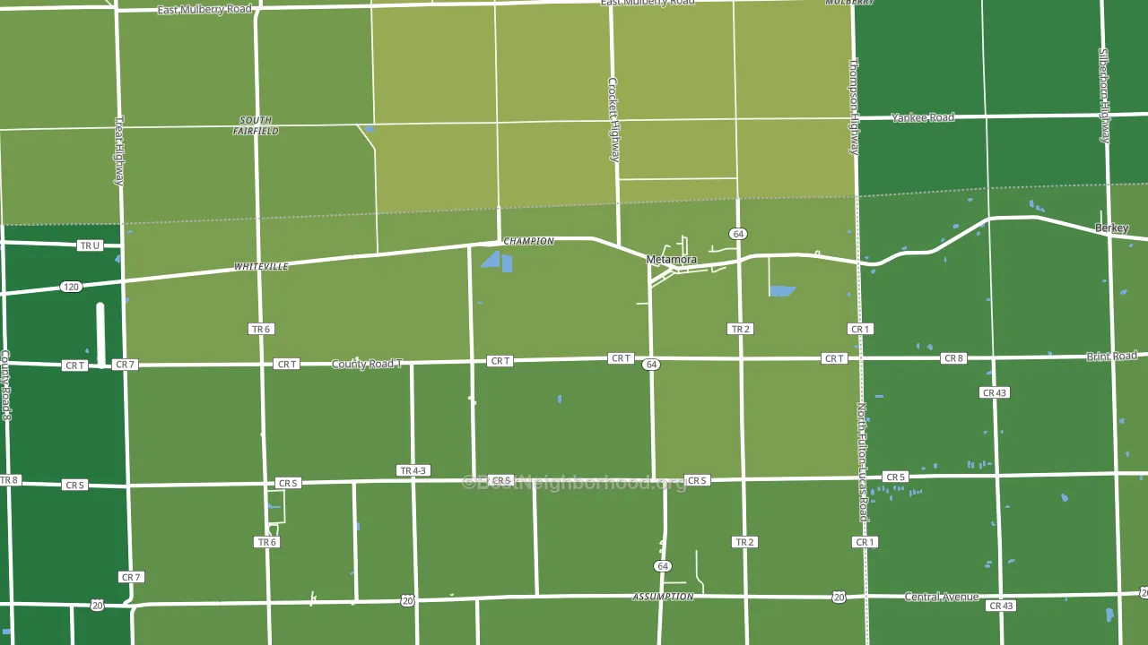 Metamora, OH block-group voter-turnout map