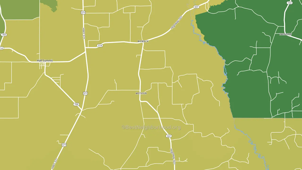 Methvin, LA block-group voter-turnout map