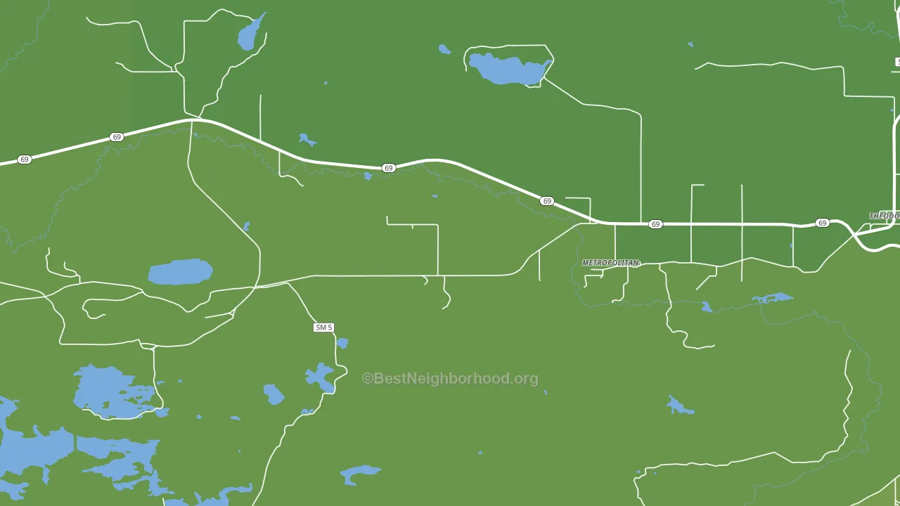 Metropolitan, MI block-group voter-turnout map