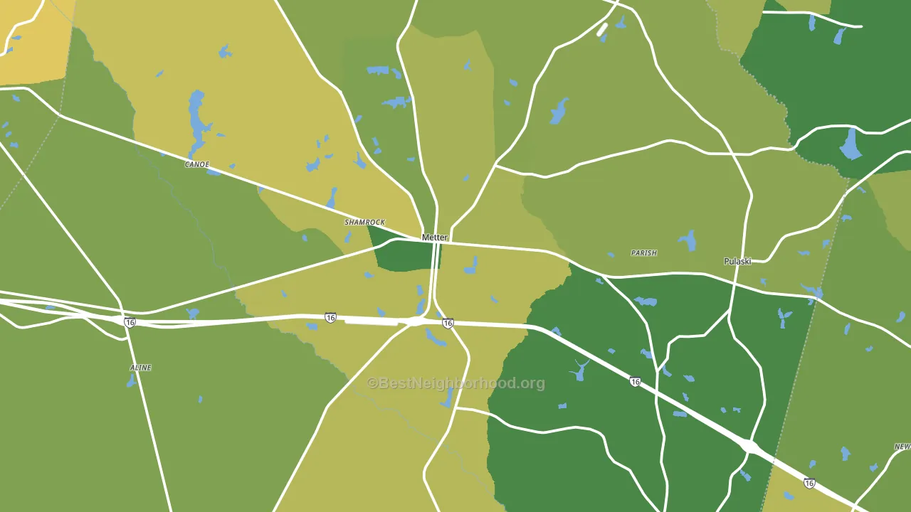 Metter, GA block-group voter-turnout map