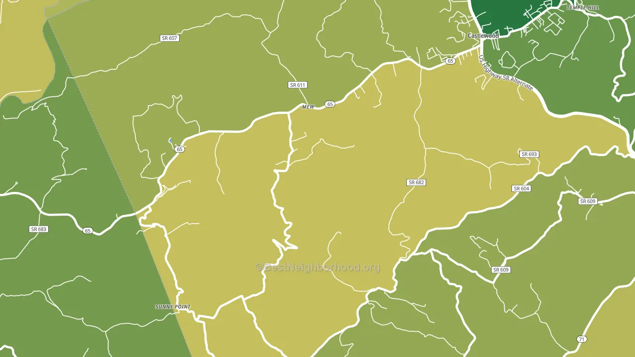 Mew, VA block-group voter-turnout map