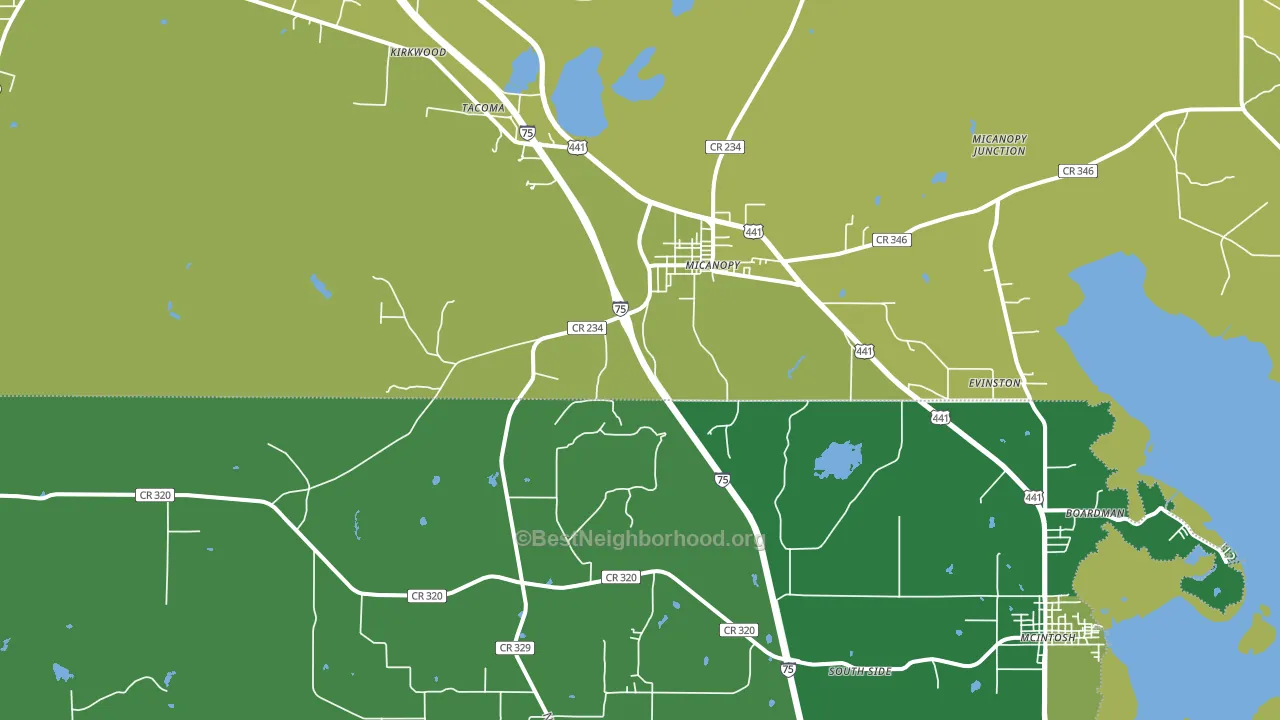 Micanopy, FL block-group voter-turnout map