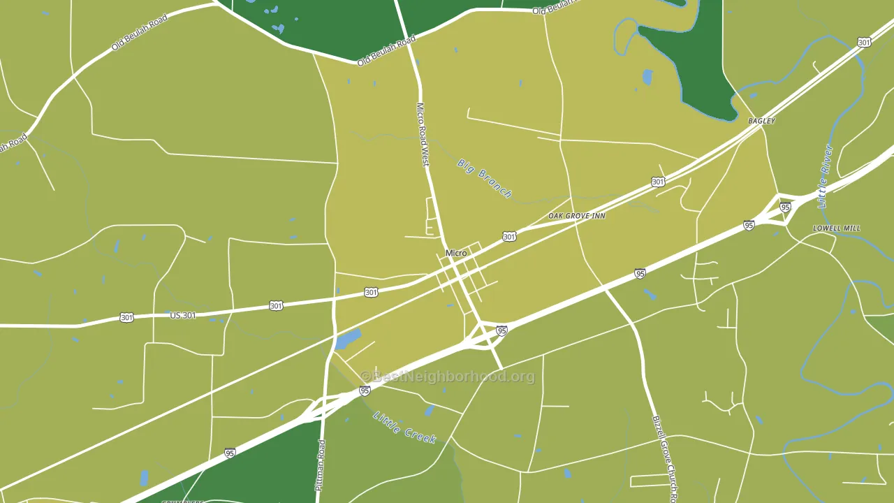 Micro, NC block-group voter-turnout map