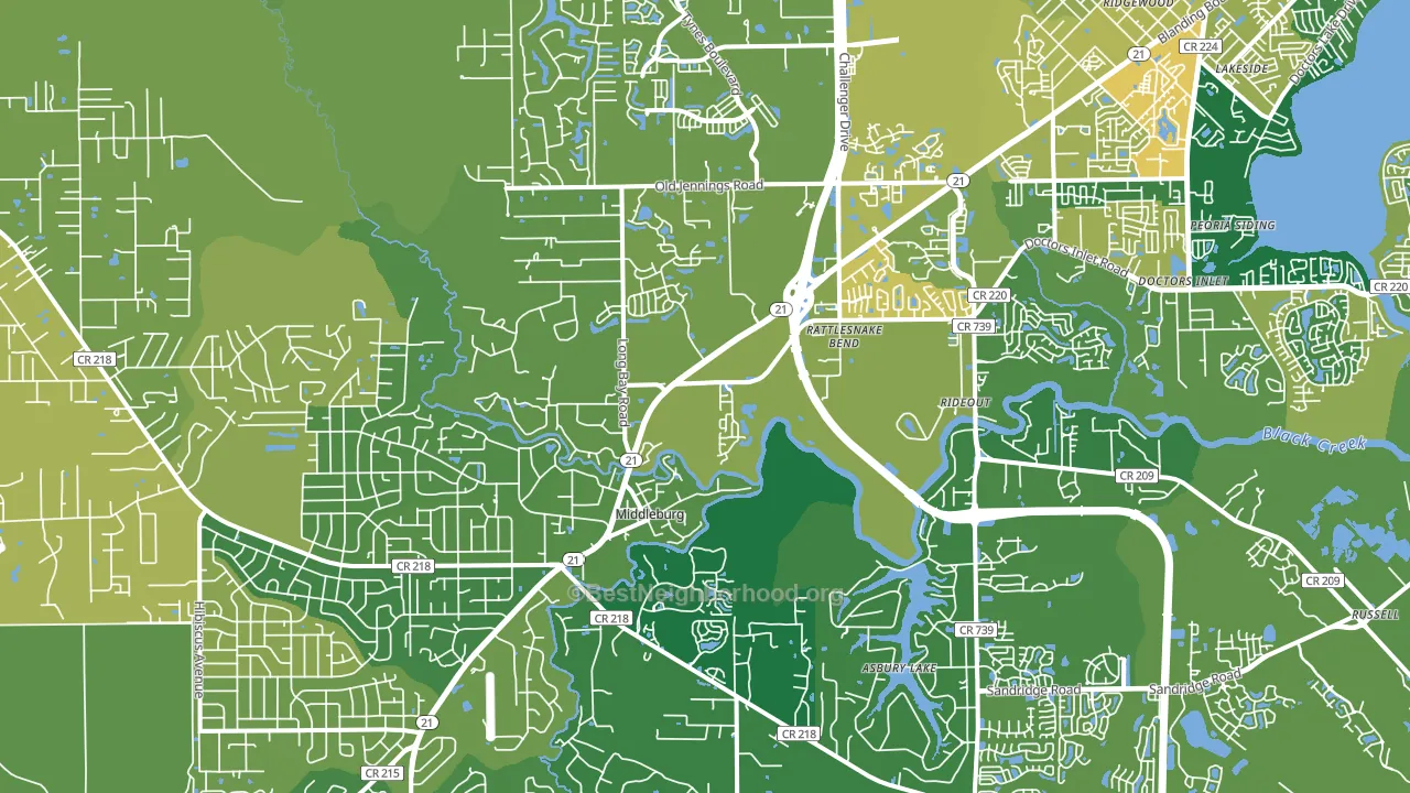 Middleburg, FL block-group voter-turnout map