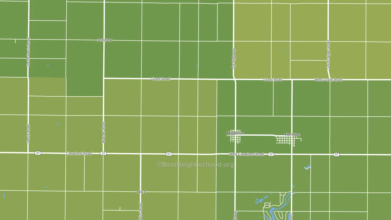 Middleton, MI block-group voter-turnout map