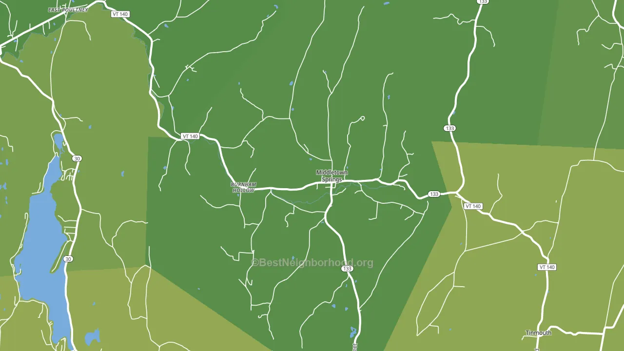Middletown Springs, VT block-group voter-turnout map
