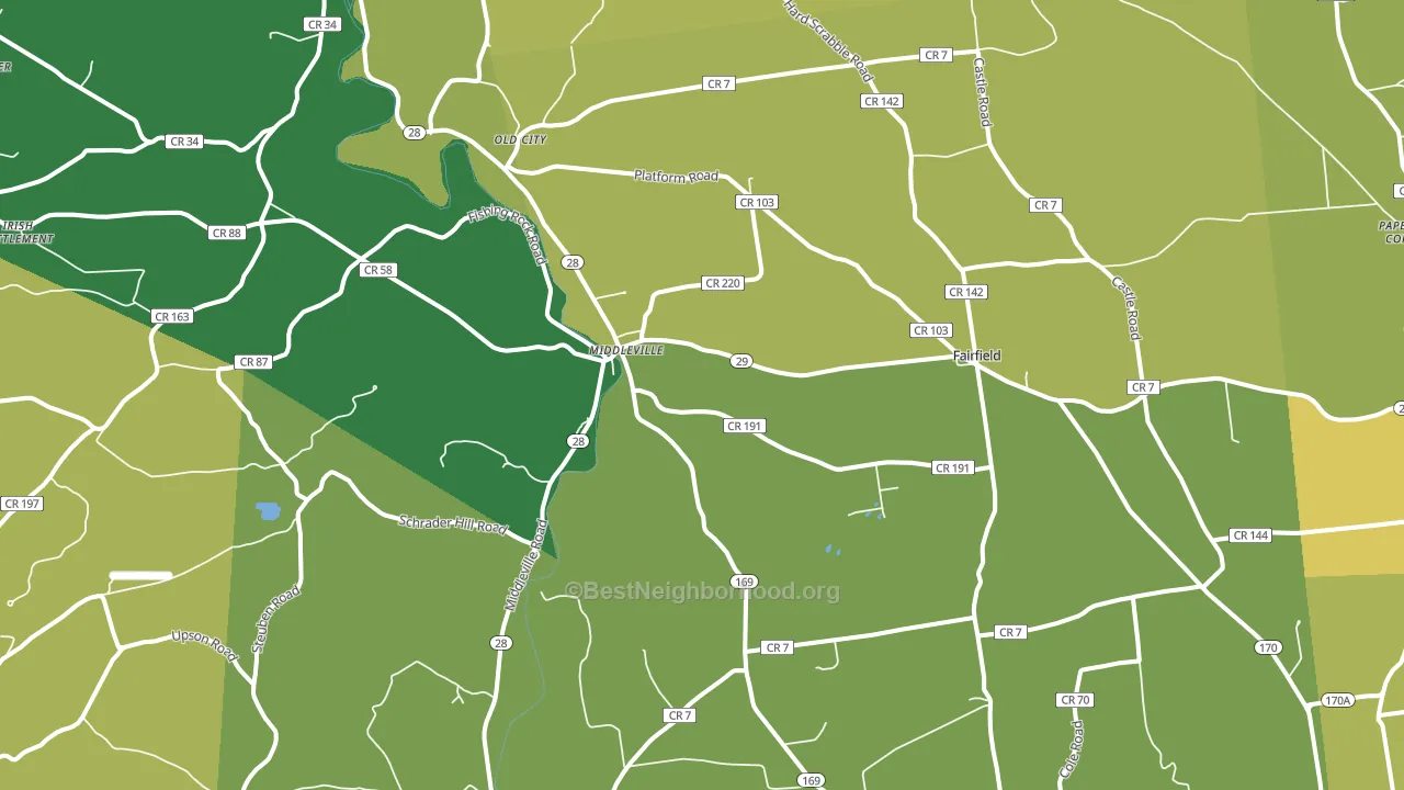 Middleville, NY block-group voter-turnout map