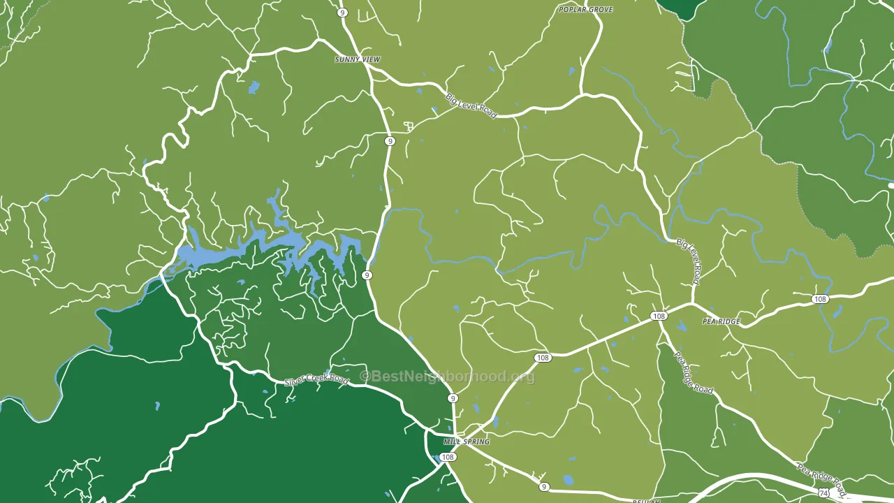 Mill Spring, NC block-group voter-turnout map