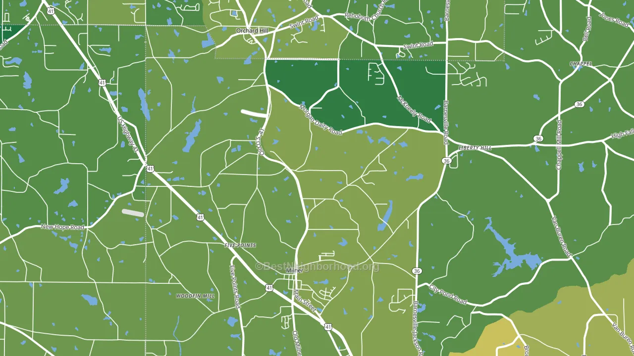 Milner, GA block-group voter-turnout map