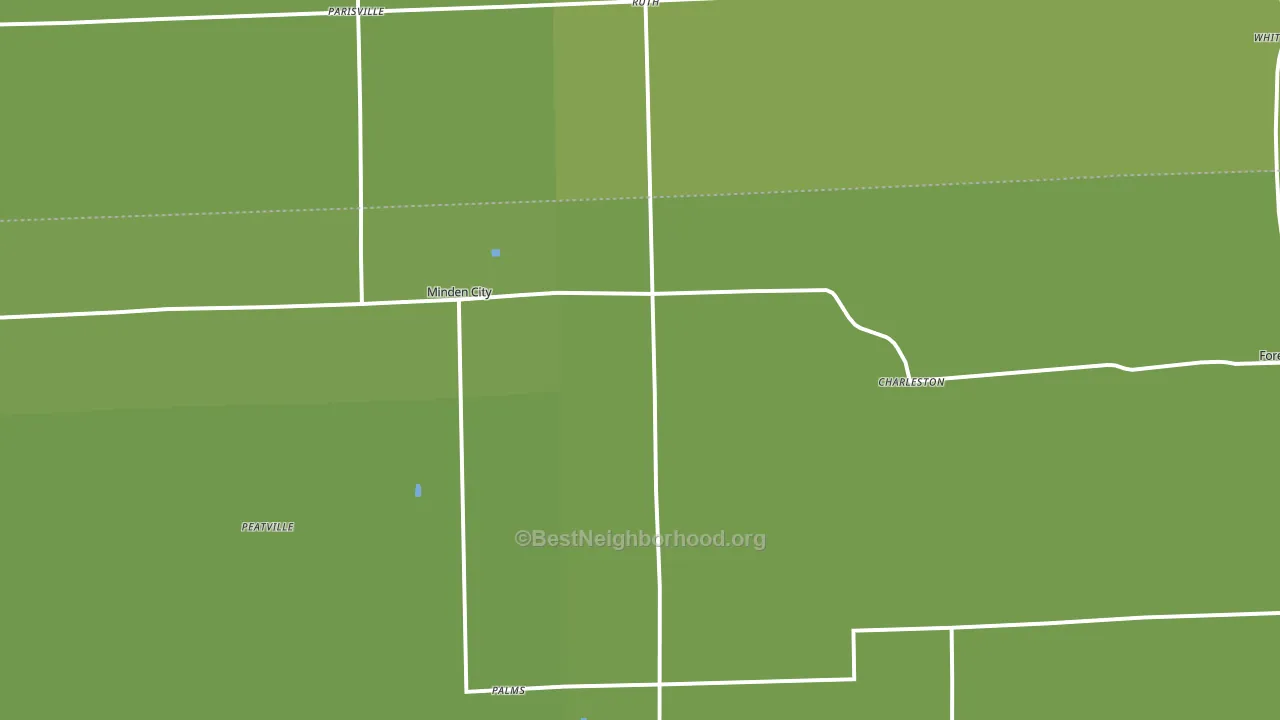 Minden City, MI block-group voter-turnout map