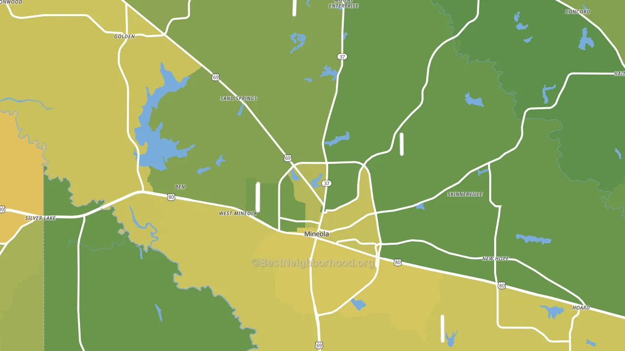 Mineola, TX block-group voter-turnout map
