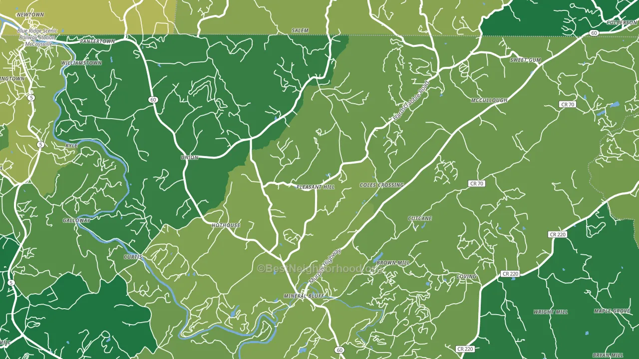 Mineral Bluff, GA block-group voter-turnout map