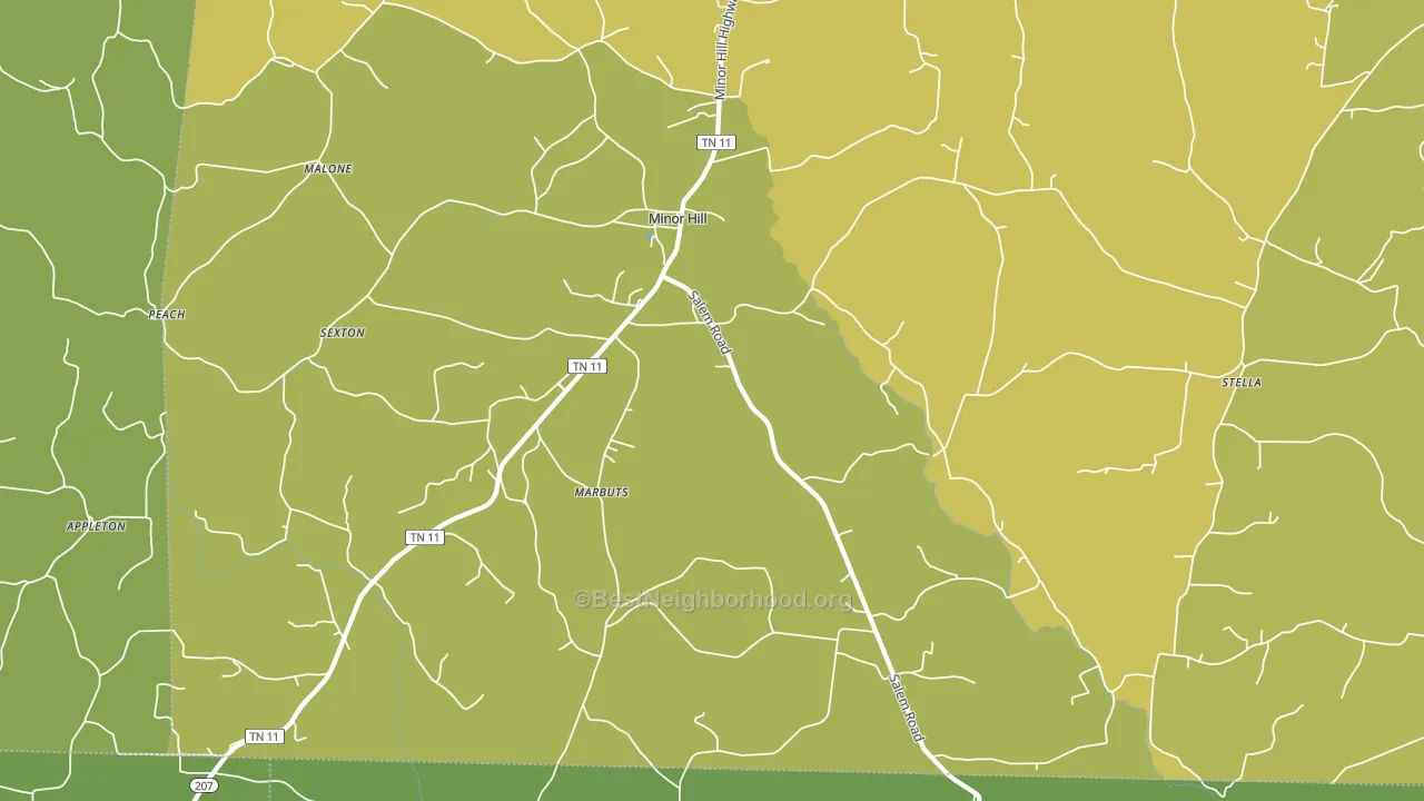 Minor Hill, TN block-group voter-turnout map
