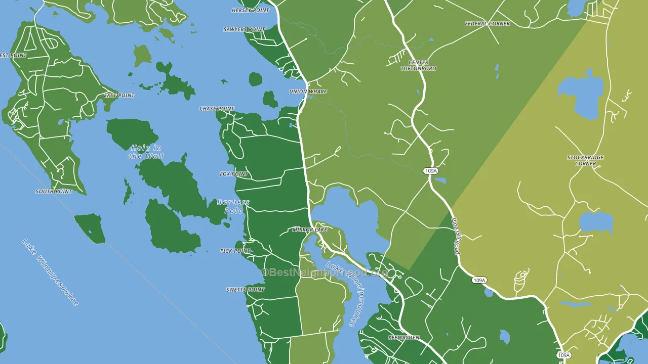 Mirror Lake, NH block-group voter-turnout map