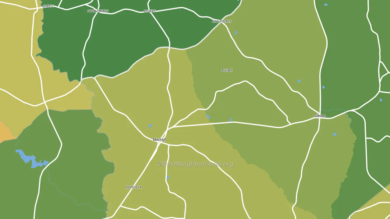 Mitchell, GA block-group voter-turnout map
