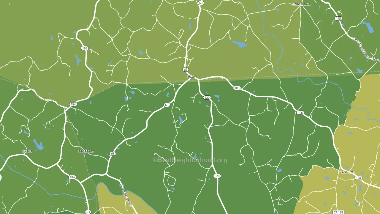Mize, GA block-group voter-turnout map
