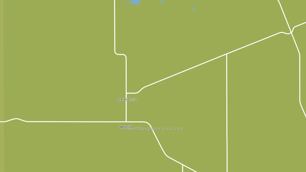 Mobeetie, TX block-group voter-turnout map