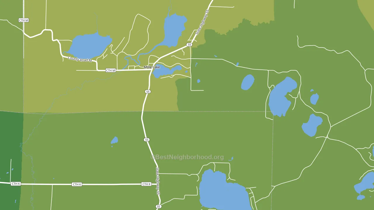 Mole Lake, WI block-group voter-turnout map