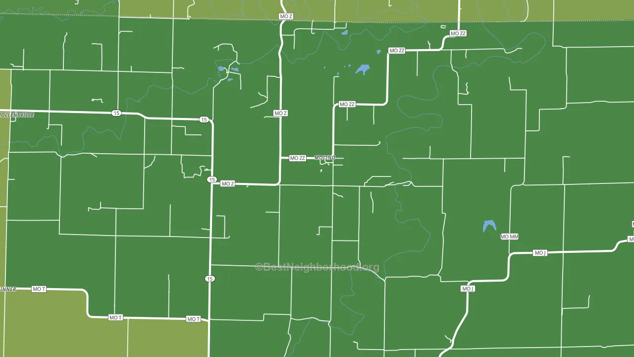 Molino, MO block-group voter-turnout map