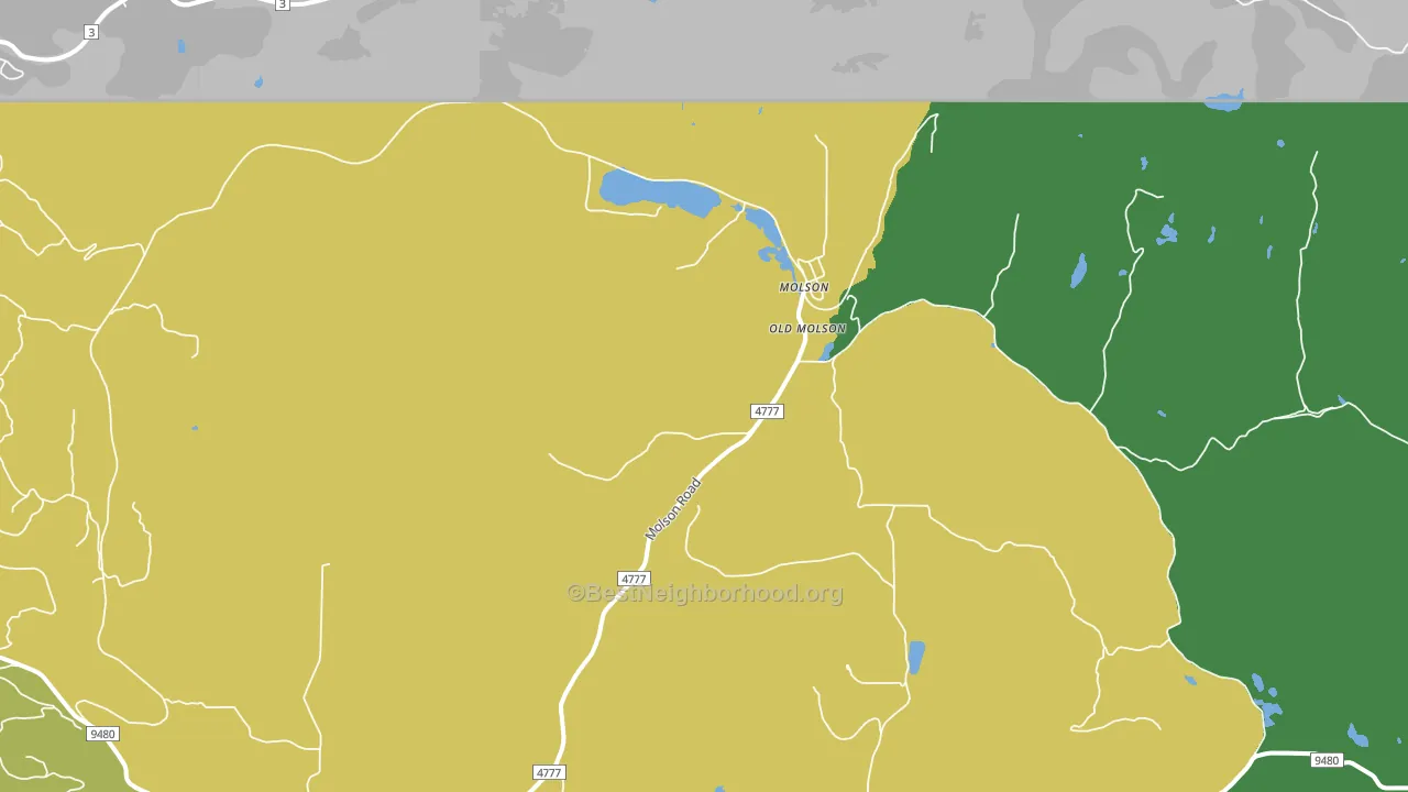Molson, WA block-group voter-turnout map