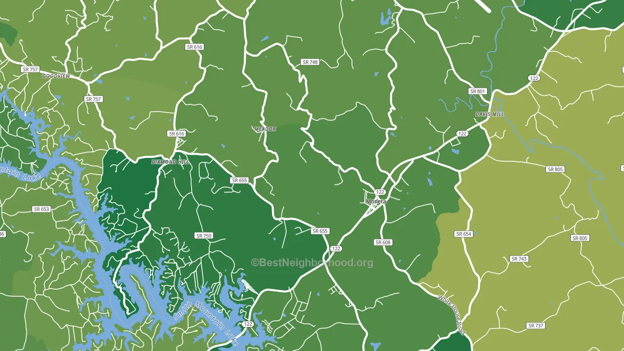 Moneta, VA block-group voter-turnout map