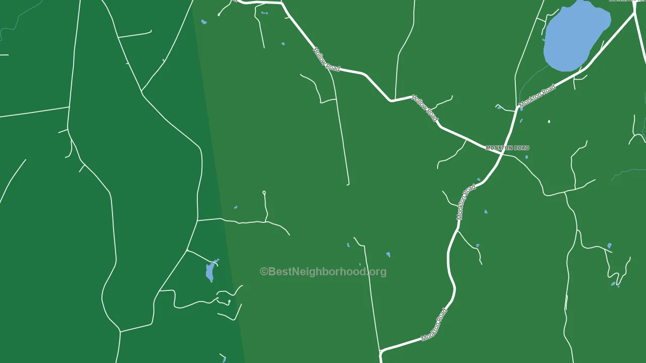Monkton Boro, VT block-group voter-turnout map