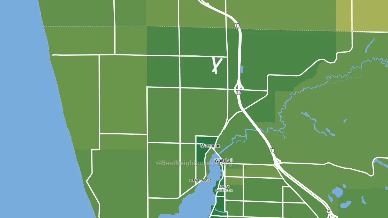 Montague, MI block-group voter-turnout map