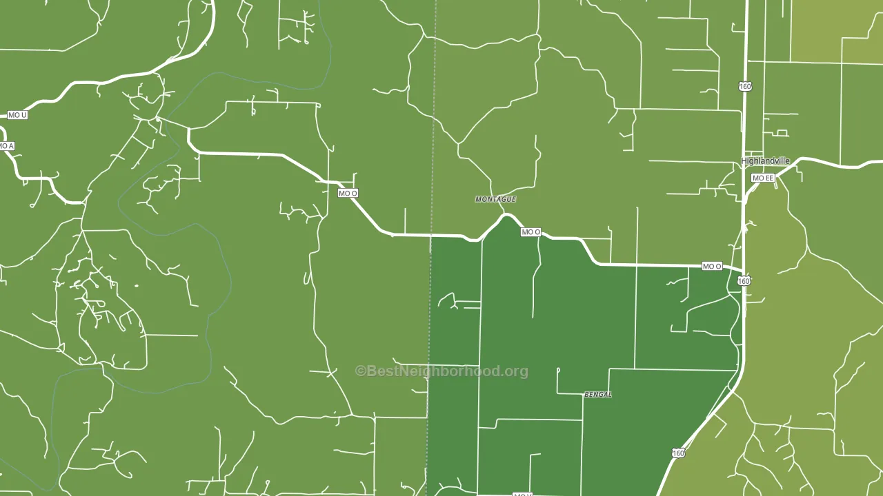 Montague, MO block-group voter-turnout map