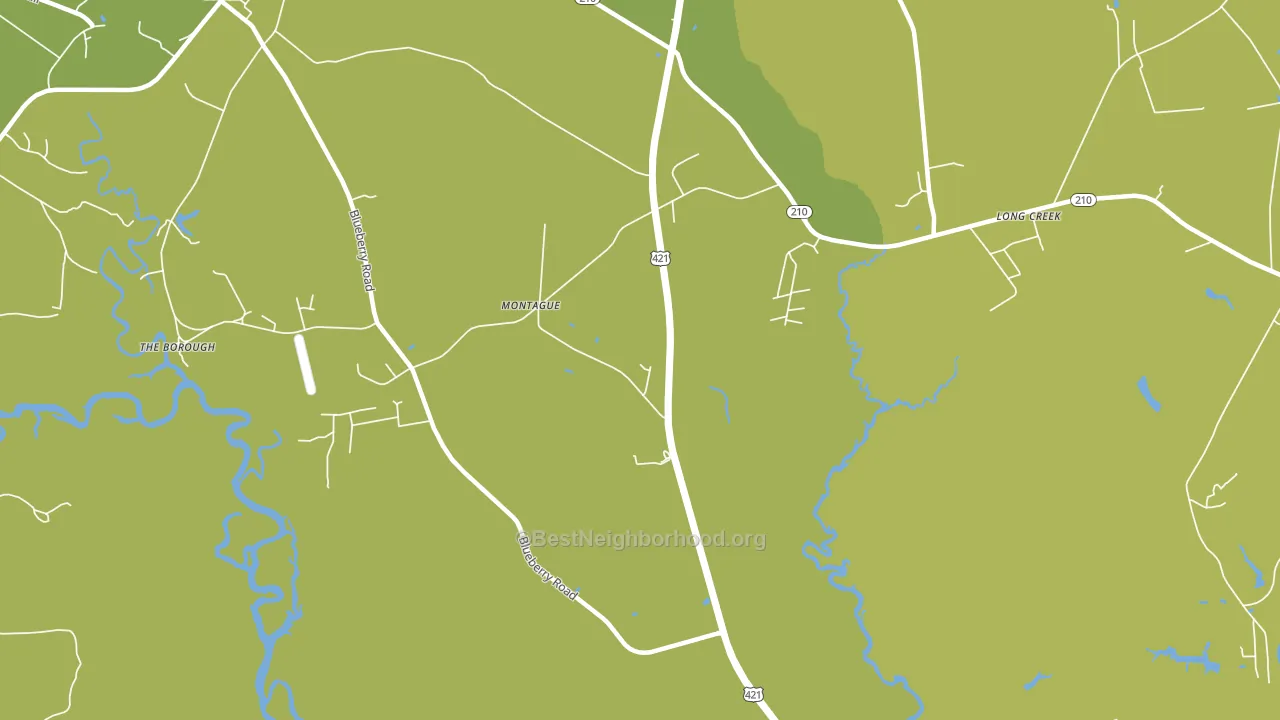 Montague, NC block-group voter-turnout map