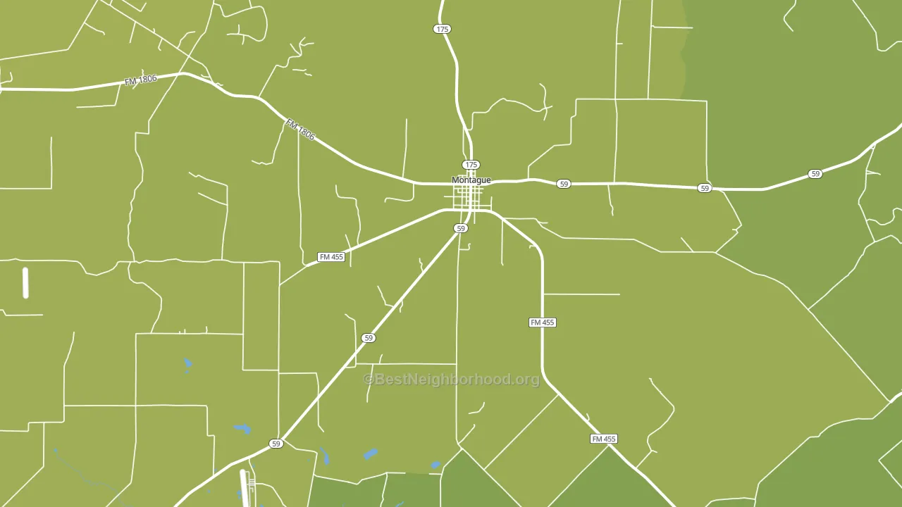 Montague, TX block-group voter-turnout map