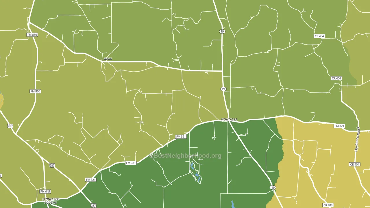 Montalba, TX block-group voter-turnout map