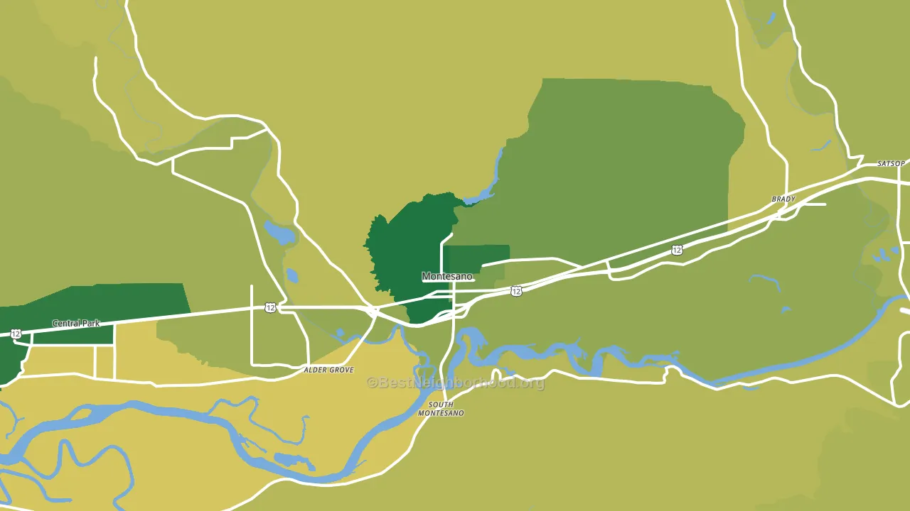 Montesano, WA block-group voter-turnout map