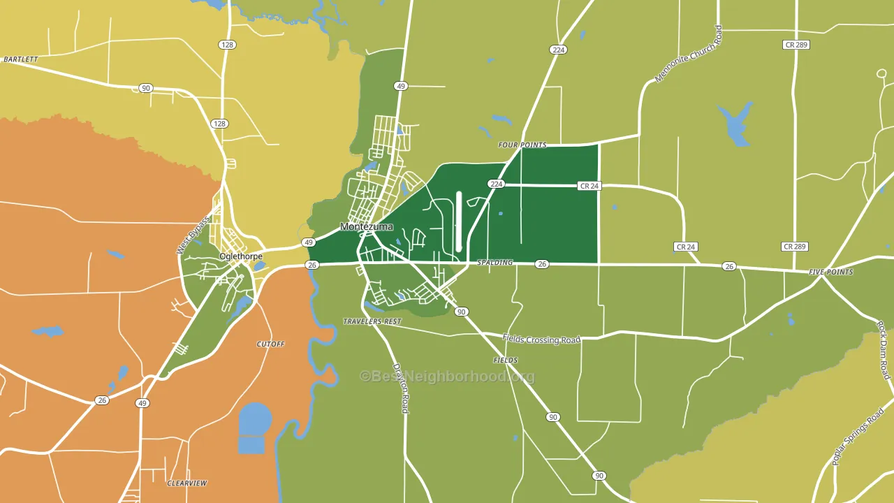 Montezuma, GA block-group voter-turnout map