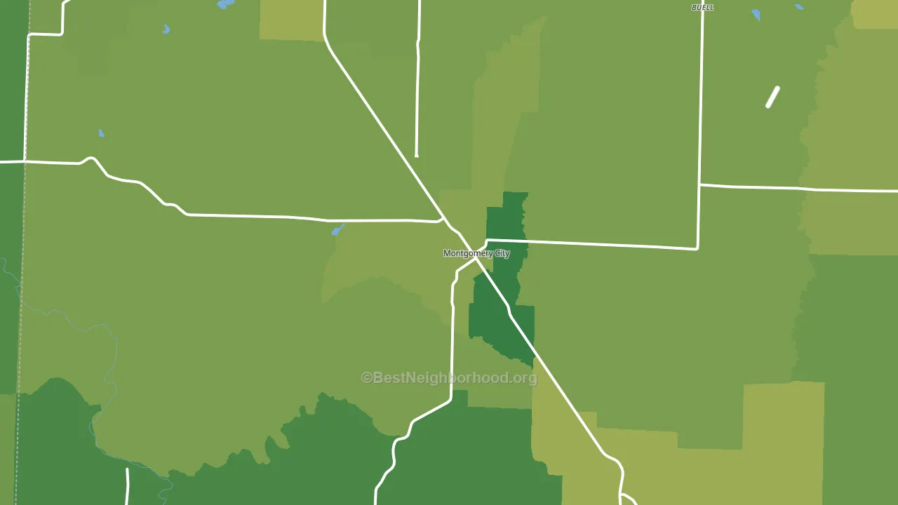 Montgomery City, MO block-group voter-turnout map