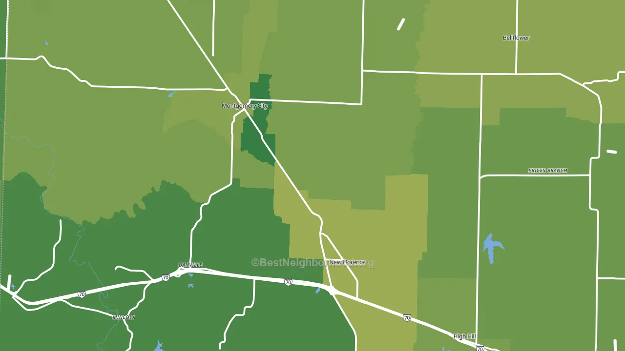 Montgomery County, MO block-group voter-turnout map