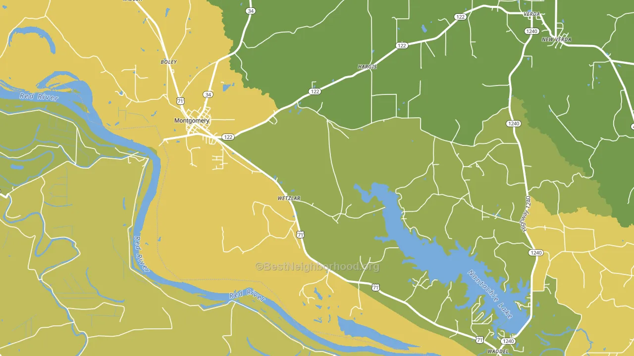 Montgomery, LA block-group voter-turnout map