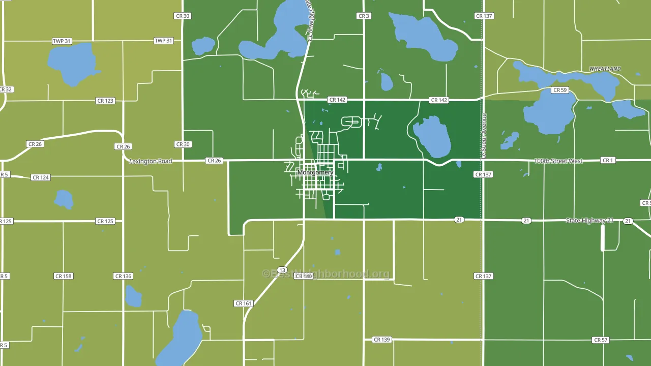 Montgomery, MN block-group voter-turnout map