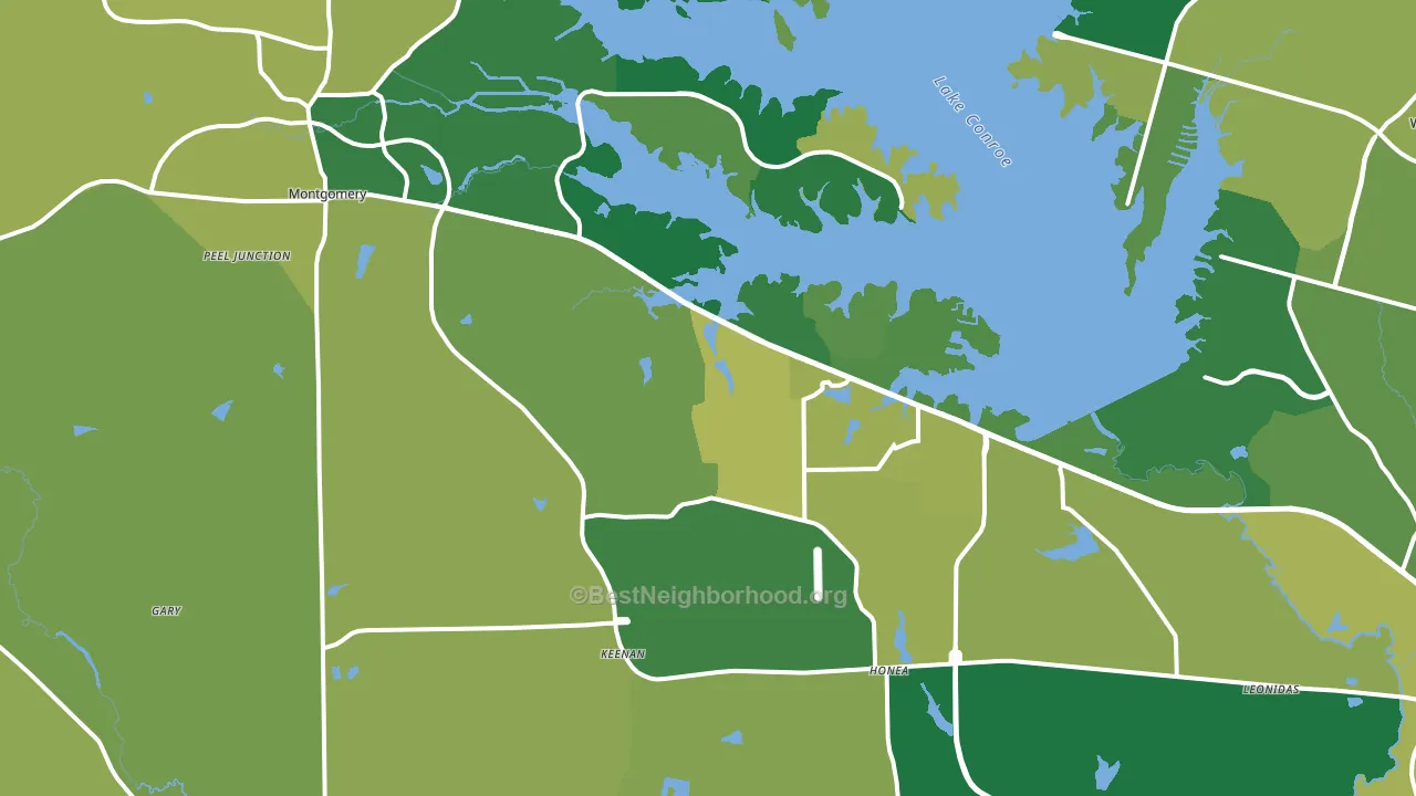 Montgomery, TX block-group voter-turnout map