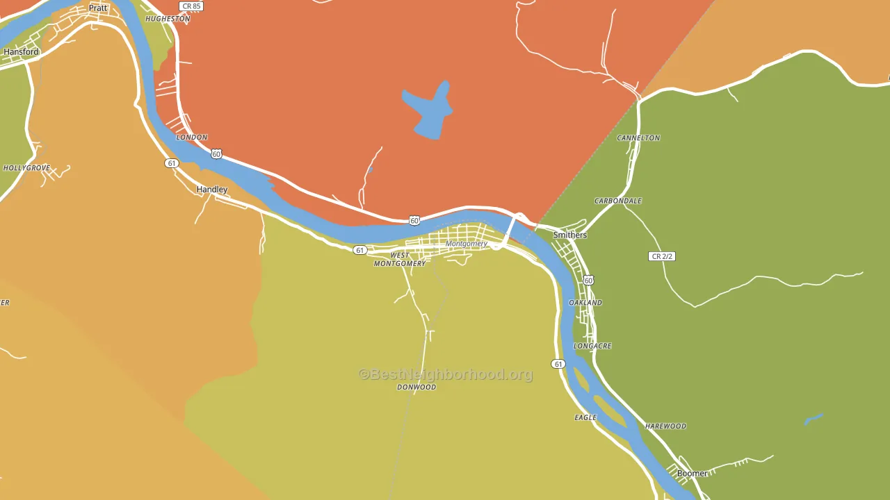 Montgomery, WV block-group voter-turnout map