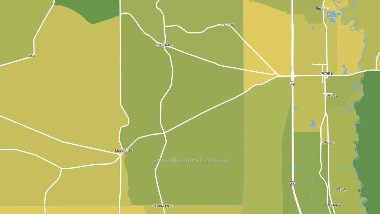 Montpelier, LA block-group voter-turnout map